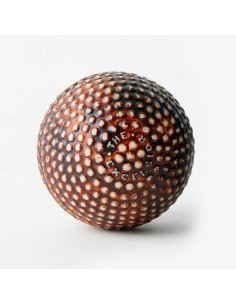 ガタパーチャブランブルゴルフボール 1890年代 2